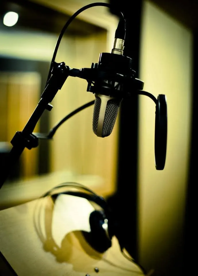 Microfone de voz com pop filter na cabine de gravação